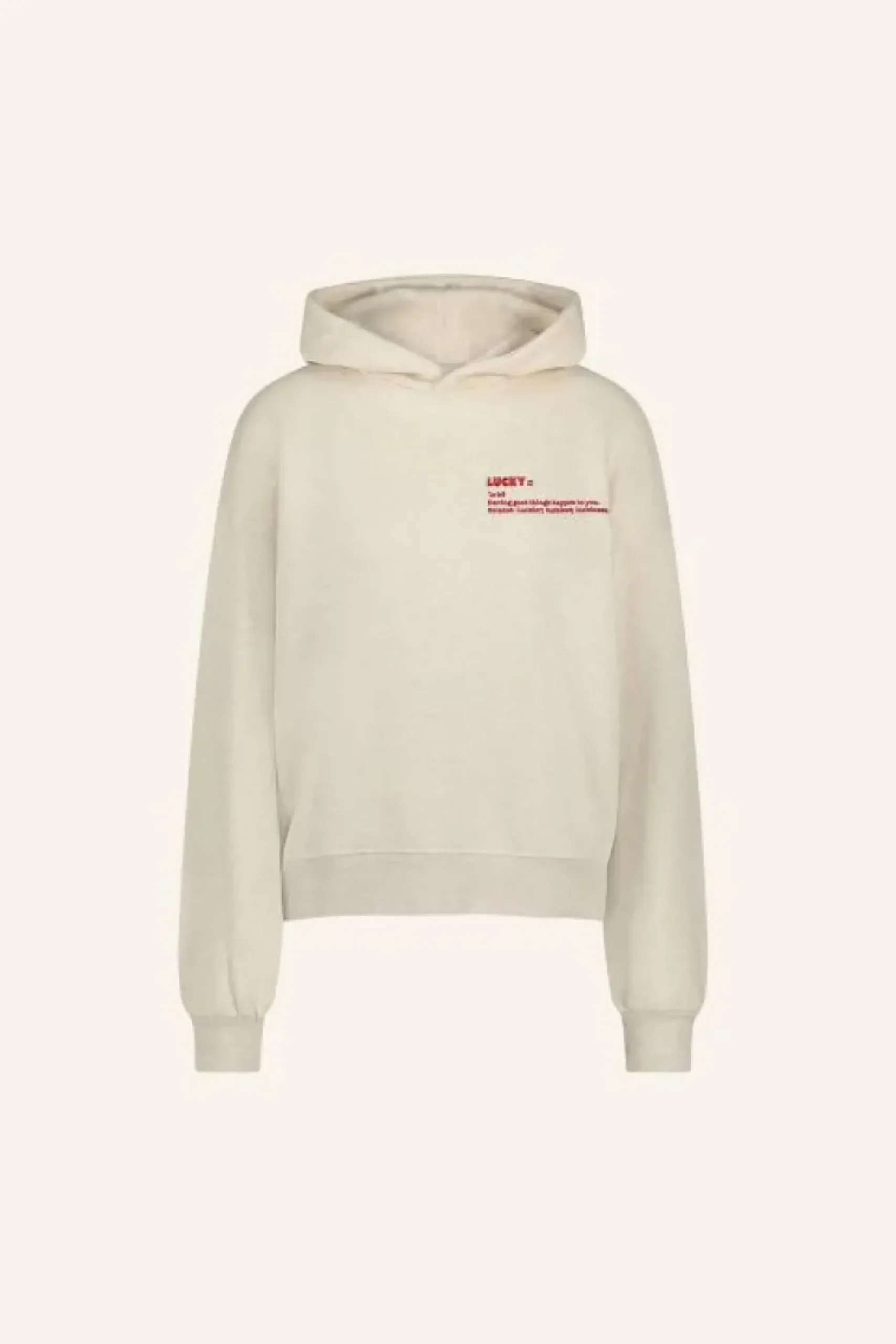 Sweaters|Truien*By bar dictionary hoodie | oyster melee